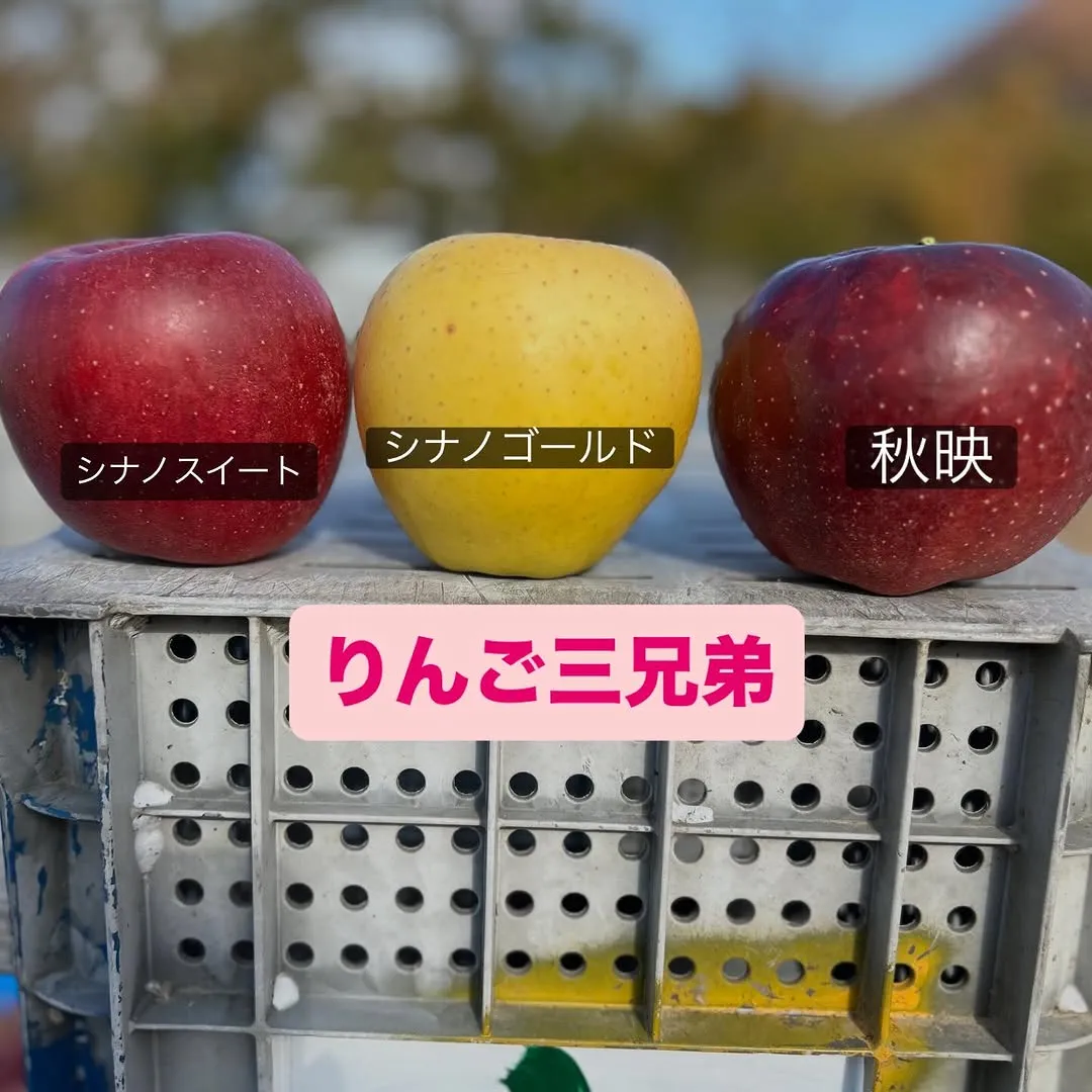@apple_car3 6