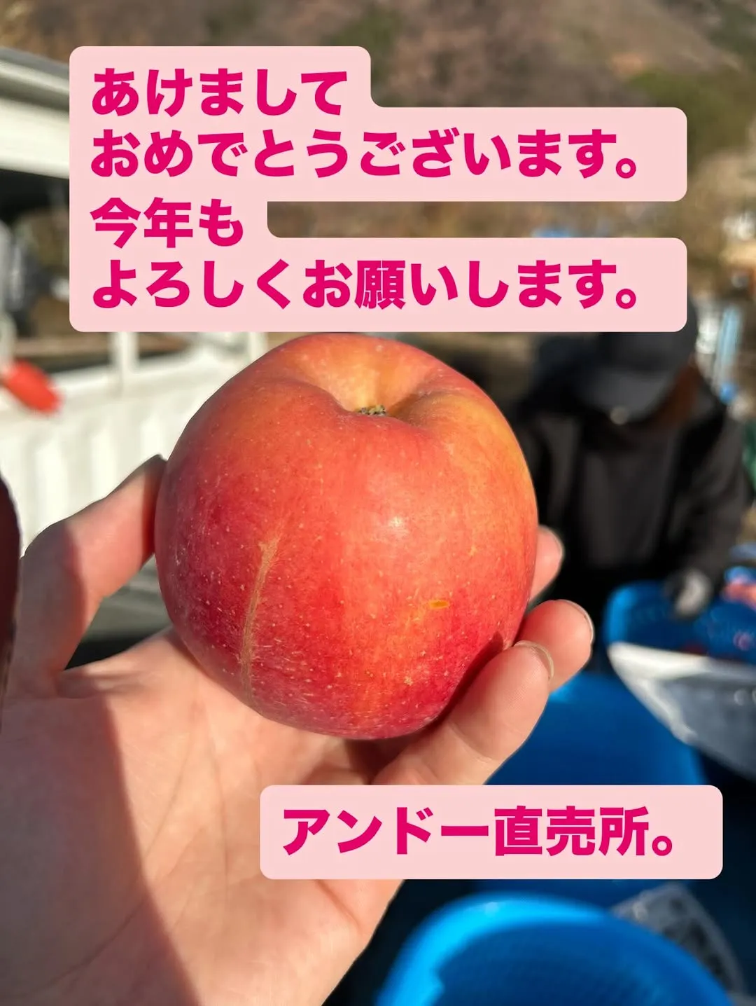 @apple_car3 9