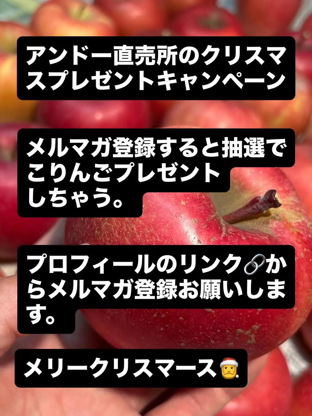 @apple_car3 10